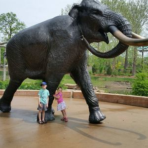 Meet your Posher, Beth